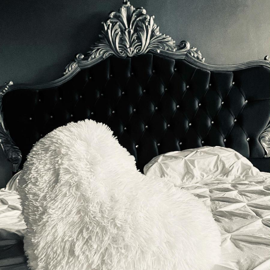 Bed and Breakfast Hypolite Avesnes-sur-Helpe Zewnętrze zdjęcie